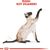 ROYAL CANIN SIAMESE CATS DRY FOOD 2 KG ADULT POULTRY