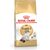 ROYAL CANIN RAGDOLL ADULT CATS DRY FOOD 2 KG
