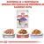 ROYAL CANIN FHN STERILISED IN SAUCE - WET FOOD FOR ADULT CATS - 12X85G