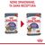 ROYAL CANIN FCN APPETITE CONTROL IN SAUCE - WET FOOD FOR ADULT CATS - 12X85G