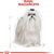 ROYAL CANIN MALTESE ADULT CORN, POULTRY 1,5 KG