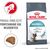 ROYAL CANIN HAIRBALL CARE CATS DRY FOOD 400 G ADULT