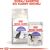ROYAL CANIN STERILISED 37 CATS DRY FOOD ADULT 4 KG