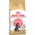 ROYAL CANIN MAINE COON KITTEN CATS DRY FOOD 2 KG