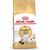 ROYAL CANIN RAGDOLL ADULT CATS DRY FOOD 2 KG