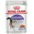 ROYAL CANIN STERILISED  12X85 G