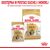 ROYAL CANIN SHIH TZU ADULT WET DOG FOOD PÂTÉ 12X85 G