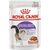 ROYAL CANIN FHN STERILISED IN SAUCE - WET FOOD FOR ADULT CATS - 12X85G