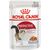 ROYAL CANIN FHN INSTINCTIVE IN JELLY - WET FOOD FOR ADULT CATS - 12X85G