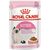 ROYAL CANIN FHN KITTEN INSTINCTIVE IN JELLY - WET FOOD FOR KITTENS - 12X85G