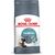 ROYAL CANIN HAIRBALL CARE CATS DRY FOOD 2 KG ADULT