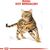 ROYAL CANIN BENGAL ADULT CATS DRY FOOD 2 KG POULTRY, VEGETABLE