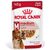 ROYAL CANIN SHN MEDIUM ADULT IN SAUCE - WET FOOD FOR ADULT DOGS - 10X140G