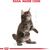 ROYAL CANIN MAINE COON KITTEN CATS DRY FOOD 2 KG