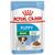 ROYAL CANIN SHN MINI PUPPY IN SAUCE - WET PUPPY FOOD - 12X85G