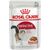 ROYAL CANIN FHN INSTINCTIVE - WET PATE FOOD FOR ADULT CATS - 12X 85G