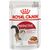 ROYAL CANIN FHN INSTINCTIVE - WET PATE FOOD FOR ADULT CATS - 12X 85G