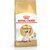ROYAL CANIN SIAMESE CATS DRY FOOD 2 KG ADULT POULTRY