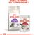 ROYAL CANIN SENSIBLE 33 CATS DRY FOOD 10 KG ADULT