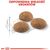 ROYAL CANIN ACTIVE LIFE OUTDOOR CATS DRY FOOD 4 KG ADULT POULTRY