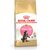ROYAL CANIN MAINE COON KITTEN CATS DRY FOOD POULTRY,RICE 4 KG