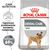 ROYAL CANIN CCN MINI DENTAL CARE - DRY FOOD FOR ADULT DOGS - 3KG