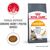ROYAL CANIN HAIR & SKIN CARE CATS DRY FOOD 0,4 KG