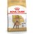 ROYAL CANIN POODLE ADULT 1.5 KG