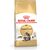 ROYAL CANIN FBN MAINE COON ADULT -  DRY FOOD FOR ADULT CATS - 4KG