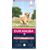 EUKANUBA SENIOR LARGE&GIANT LAMB WITH RICE - DRY DOG FOOD - 12KG
