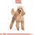 ROYAL CANIN POODLE ADULT 1.5 KG