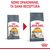 ROYAL CANIN HAIR & SKIN CARE CATS DRY FOOD 0,4 KG