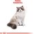 ROYAL CANIN FBN RAGDOLL ADULT DRY CAT FOOD 0,4KG
