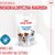 ROYAL CANIN TRAINING TREATS - DOG TREAT - 110G