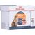 ROYAL CANIN INTENSE BEAUTY WET CAT FOOD CHUNKS IN SAUCE 12X85 G