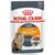 ROYAL CANIN INTENSE BEAUTY WET CAT FOOD CHUNKS IN SAUCE 12X85 G