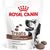 ROYAL CANIN DOG GASTROINTESTINAL TREATS - DOG TREAT - 230G