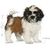 ROYAL CANIN SHIH TZU PUPPY 0.5KG