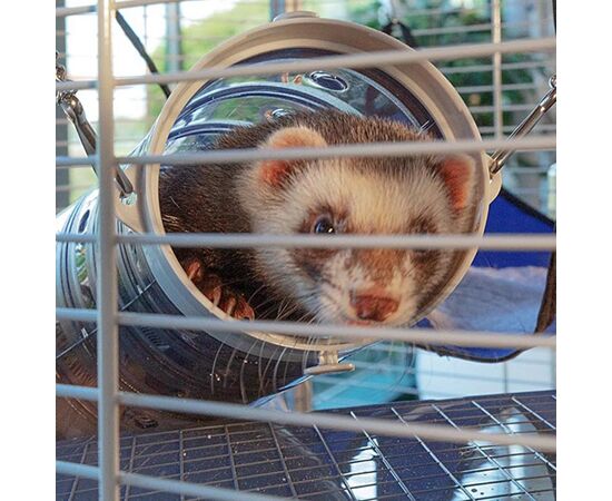 FERPLAST FURET TOWER - CAGE
