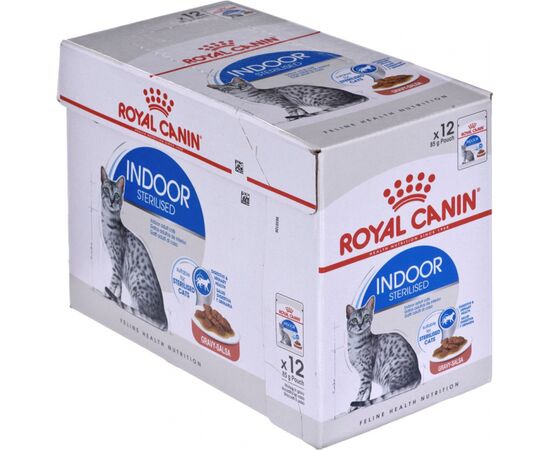 ROYAL CANIN FHN INDOOR JELLY - WET FOOD FOR ADULT CATS - 12X85G