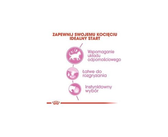 ROYAL CANIN FHN KITTEN INSTINCTIVE IN SAUCE - WET FOOD FOR KITTENS - 12X85G