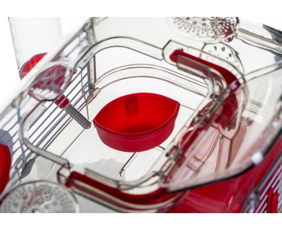 ZOLUX RODY3 MINI BŪRIS, SARKANĀ KRĀSĀ