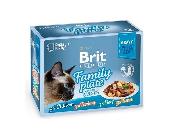 BRIT PREMIUM CAT POUCH GRAVY FILLET FAMILY PLATE - WET CAT FOOD - 12 X 85G