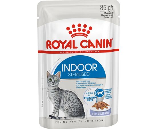 ROYAL CANIN FHN INDOOR JELLY - WET FOOD FOR ADULT CATS - 12X85G
