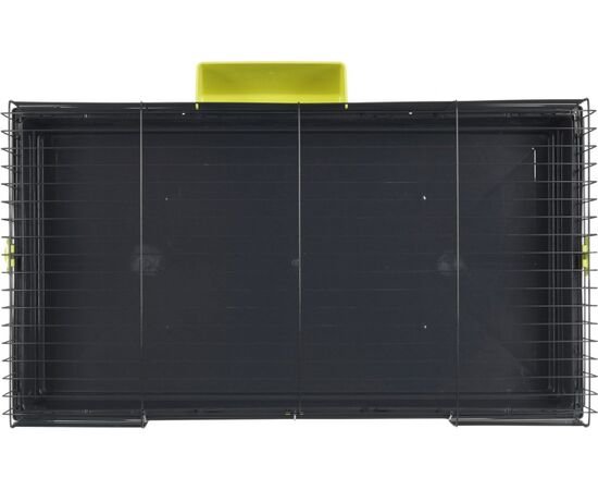 ZOLUX CLASSIC 100 CM,  BŪRIS LIELAJIEM GRAUZĒJIEM,  KRĀSA PELĒKS/AKVAMARĪNS