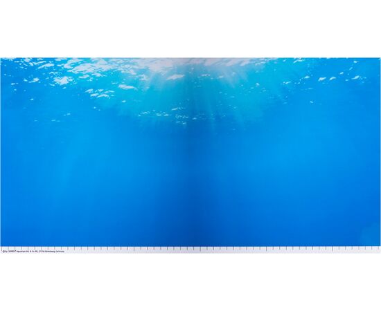 JUWEL MURAL/POSTER 2 L - MURAL FOR AQUARIUM - 1 PC.