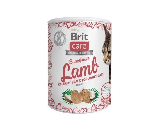 BRIT CARE CAT SNACK SUPERFRUITS LAMB - CAT TREAT - 100 G