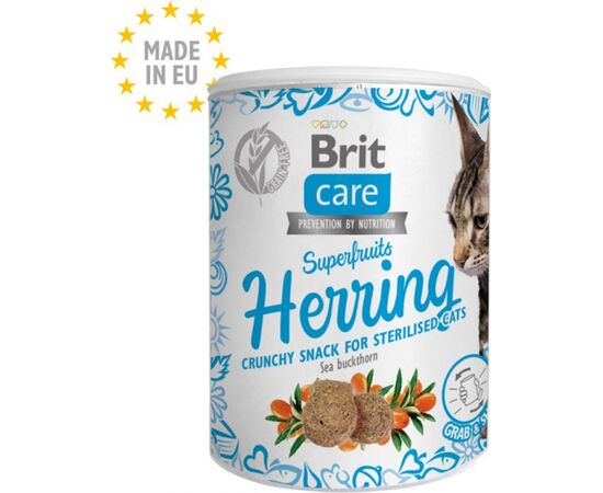 BRIT CARE CAT SNACK SUPERFRUITS HERRING - CAT TREAT - 100 G