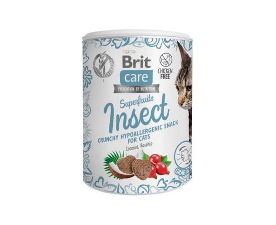 BRIT CARE CAT SNACK SUPERFRUITS INSECT - CAT TREAT - 100 G