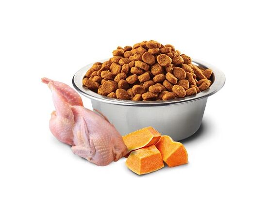 FARMINA PET FOOD N&D PUMPKIN FELINE ADULT 1.5KG CATS DRY FOOD CHICKEN